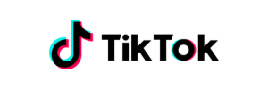 TikTok icon